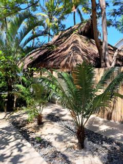 Eden Eco Resort - Gili Trawangan - 6