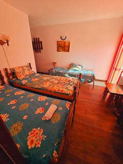 Aliando Baron - Sighişoara - 5