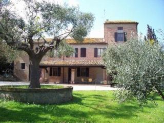Solebello Mulberry - 9