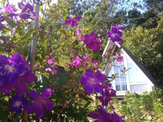Tuyết Hoa Hòn Bồ Homestay - Dalat - 1