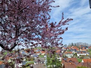 Ferienwohnung Wachter in Viereth mit tollem Ausblick - Viereth-Trunstadt - 9