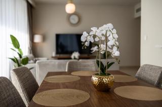 Comfy family apartment in Dubai Creek Harbour - 1