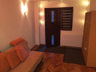 Apartment Catalin - Arad - 2