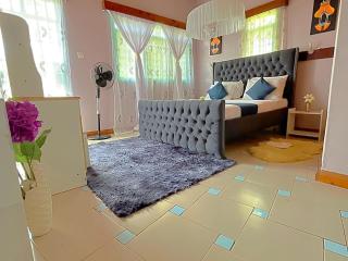 Homely apartments 4 - Kisumu - 2