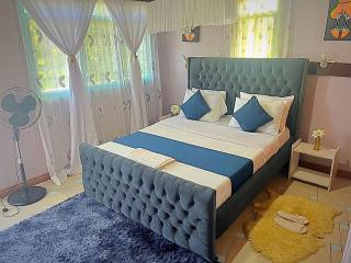 Homely apartments 4 - Kisumu - 1