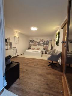 Studio Noellica - Rovinj - 1