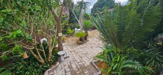 Havana Nights - Graskop - 5
