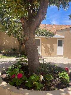 Casa céntrica Las Higueras - Tarija - 6