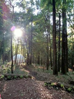 Glamping Don Delfis - Valle de Bravo - 7