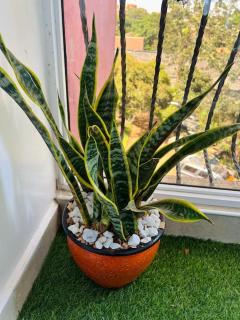 Hidden Gem, Westlands -1 bedroom - 8