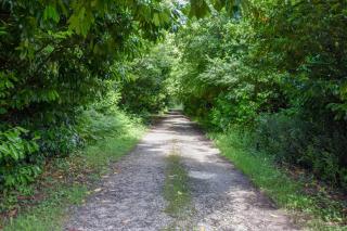 Domaine de Laguneaussan - 5