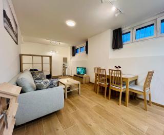 Pleasant Basement Apartment - Prague - 8