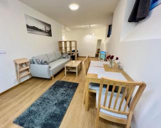 Pleasant Basement Apartment - Prague - 9