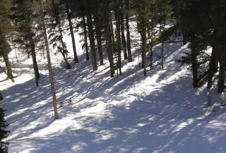 Pure Lux W Hot Tub, Zipline & Sauna! - 8