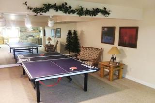 Pure Lux W Hot Tub, Zipline & Sauna! - 1