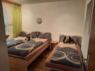Bodmen 3 Apartments von Privat in Zermatt - Zermatt - 8