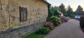 Korona Panzió - Balatonberény - 8