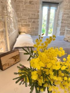 Nafsika's Cottage - Magazia Paxos - Manesátika - 2
