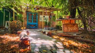 El Jardin, Eco Cabañas Boutique - San Alfonso - 0