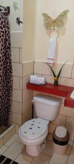 Miriam'S Quetzals lodge - San Gerardo de Dota - 1