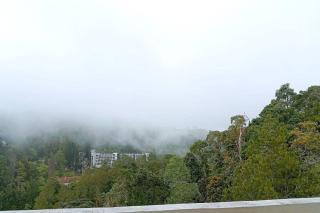 Silverpart Resort Fraser Hill C3-6-2 Forest View High Floor No lift - Bukit Fraser - 1