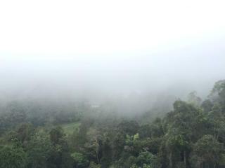 Silverpart Resort Fraser Hill C3-6-1 Forest View High Floor No lift - 5