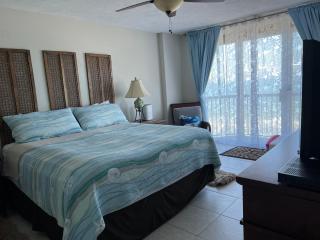 Ponce Inlet Florida Breathtaking Oceanfront Penthouse Villa! - Ponce Inlet - 8