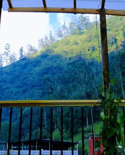 Glamping Ibanazk - Ibagué - 9