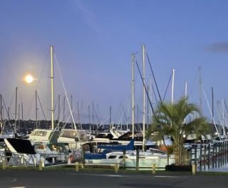 MarinaView room with private bathroom - Auckland - 9