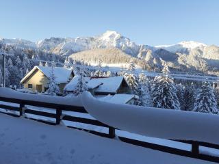 Mountain view apartment Predeal - Predeal - 2