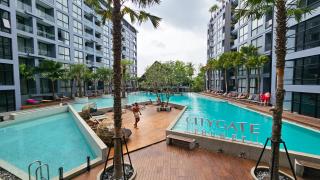 SABAY PROPERTY Apart N303 with scenic pool view surrounded by palm trees in CityGate Kamala - Phuket - 3