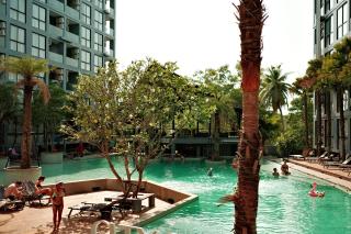 SABAY PROPERTY Apart N303 with scenic pool view surrounded by palm trees in CityGate Kamala - Phuket - 5