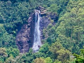 Top Moon - Nuwara Eliya - 5