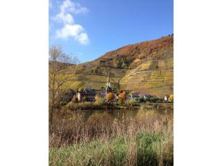 Gretel Comfortable holiday residence - Bremm - 5