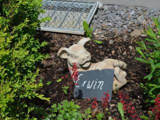 Gretel Comfortable holiday residence - Bremm - 3