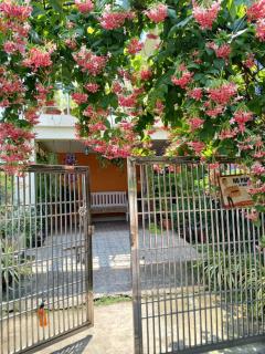 The Basic - Bhubaneshwar - 0