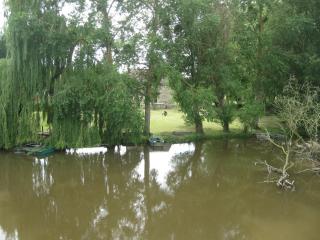 Le Petitepinay Chambres et Gîte - 4