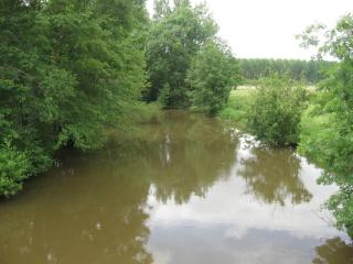 Le Petitepinay - Moitron-sur-Sarthe - 2