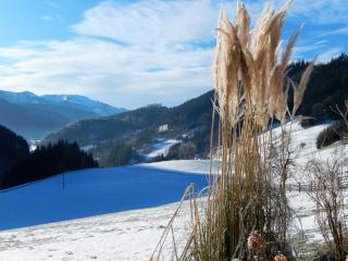 Biobauernhof Poidlbauer - 5
