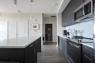 Fairfax 1BR w pool elevator workspace WDC-778 - Lewinsville - 7