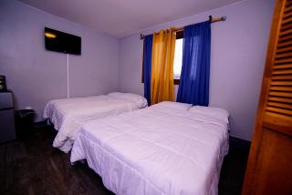 Cozy Private Room With Two Beds - Anchorage - 8