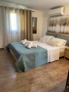 MANOLIS COTTAGE THANOS - Thános - 8
