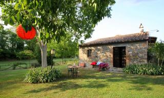 Agriturismo Le Spighe - Proceno - 9