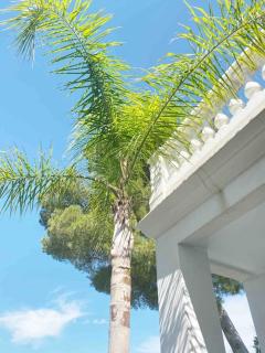Villa Lion, gorgeous villa in Le Cannet overlooking Cannes - Le Cannet - 8