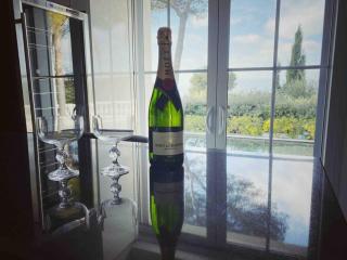Villa Lion, gorgeous villa in Le Cannet overlooking Cannes - Le Cannet - 4