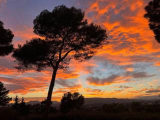 Villa Lion, gorgeous villa in Le Cannet overlooking Cannes - Le Cannet - 1