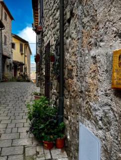CASTAGNA BIANCA - Tuscan ToBe srl - Santa Fiora - 0