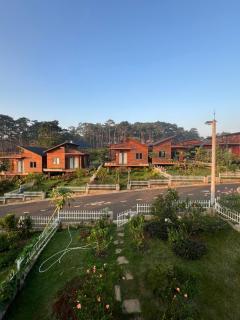Chiburo Home Bảo Lâm - Berla (2) - 7