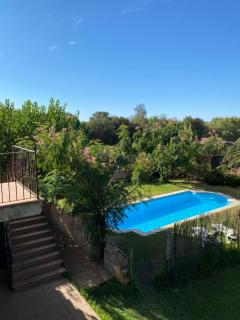 Higueras y Olivos - 8