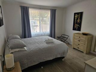 Cute self-contained apartment - 3